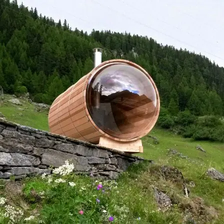 Sauna Vision